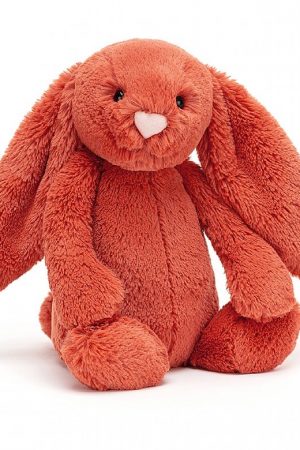 Bashful Cinnamon Bunny