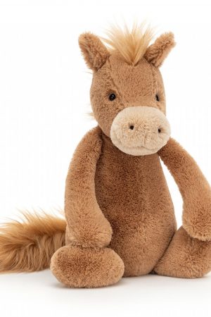 Bashful Pony