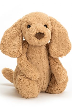 Bashful Toffee Puppy
